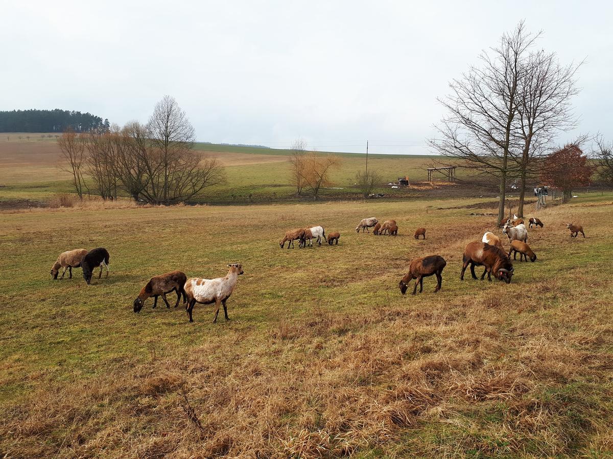 Podkrovi V Jihoceskem Statku Nemejice Exterior photo